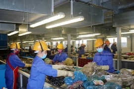 Hậu Giang sẽ có nhà máy điện rác hơn 1.300 tỷ đồng