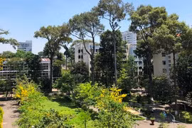 TPHCM: Tách đôi bệnh viện để tiếp nhận và điều trị bệnh nhân Covid-19