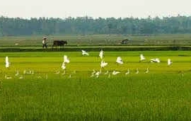 Đi để trở về