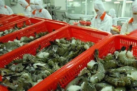 Xuất khẩu tôm 5 tháng đạt 1,31 tỷ USD