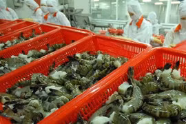 Xuất khẩu tôm 5 tháng đạt 1,31 tỷ USD