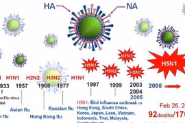 Virus cúm