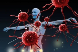 Cây thuốc Nam giúp tăng miễn dịch và làm sạch virus gây viêm gan khỏi cơ thể