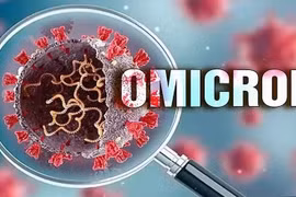 WHO bổ sung biến thể phụ BA.4 và BA.5 vào danh sách các biến thể cần theo dõi 