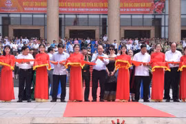 Vải thiều Bắc Giang: Được mùa, được giá