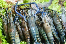 5 món từ tôm đồng giúp bổ thận, lợi sữa