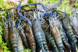 5 món từ tôm đồng giúp bổ thận, lợi sữa