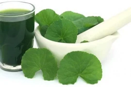  Thực phẩm giải độc