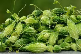 Giải nhiệt bằng trà 