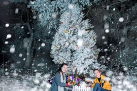 Giáng sinh tại Vườn châu Âu ở Ba Vì - Hà Nội