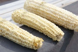 Lõi ngô xử lý nước thải