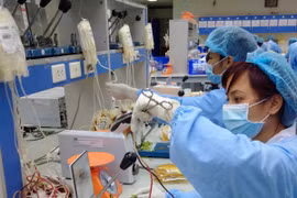 Chuyện về ngân hàng máu sống