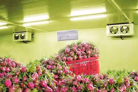 Điện phân nước muối bảo quản nông sản