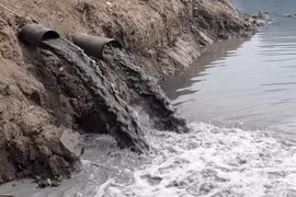 Khử trùng nước nhanh chóng bằng khoáng chất trong tự nhiên