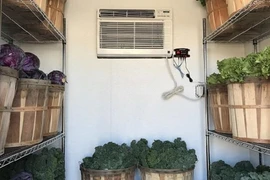 Giữ rau tươi lâu bằng kho lạnh