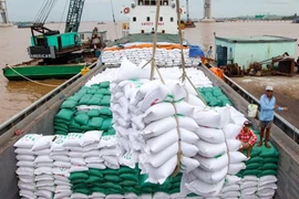 Tân Cảng Hiệp Phước tạm ngừng dịch vụ đóng rút gạo đến giữa tháng 9