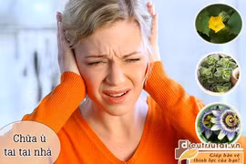 Thảo dược trị ù tai 