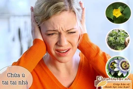 Thảo dược trị ù tai 