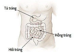 Ruột non khó tiếp cận nhất trong hệ thống tiêu hóa 