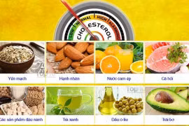Giảm cholesterol tránh xơ gan