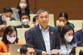 BS Nguyễn Lân Hiếu: Cách đếm số ca F0 hiện không còn hợp lý