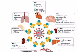 infographic: Tất cả những điều về chứng COVID-19 kéo dài