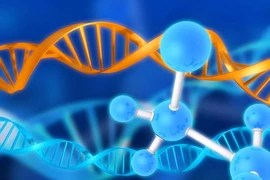 Gene có thể bật và tắt