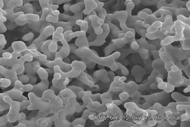 Lớp phủ polymer tăng tốc sản xuất nhiên liệu xanh