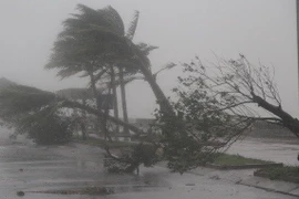  Gió cấp 7 - 8 trở lên gây nguy hiểm