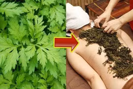 Thuốc đắp hỗ trợ chữa đau lưng, thoát vị đĩa đệm