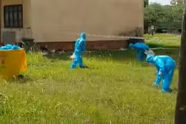 Đánh bài trong khu cách ly, tự nhận mức phạt... mặc đồ bảo hộ đi nhặt rác