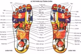 Xoa bóp bàn chân chữa u xơ tiền liệt tuyến