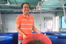 Đằng sau Rong nho Trường Thọ - từ anh kỹ sư dầu khí tới đổi mới trong ngành thủy sản Việt Nam