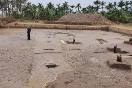 Cận cảnh bãi cọc gỗ liên quan đến chiến thắng Bạch Đằng năm 1288