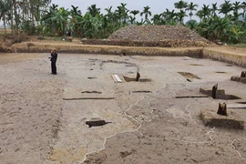 Cận cảnh bãi cọc gỗ liên quan đến chiến thắng Bạch Đằng năm 1288