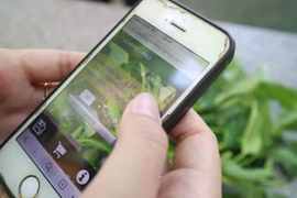 Phát hiện thừa, thiếu đạm của rau qua ảnh