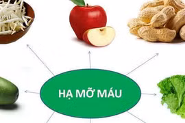 Cách ăn chữa tăng cholesterol nhẹ