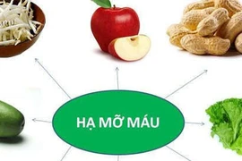 Cách ăn chữa tăng cholesterol nhẹ