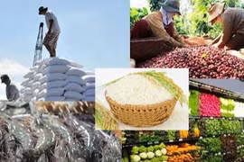 Các địa phương đẩy mạnh phát triển sản xuất, tiêu thụ, xuất khẩu nông sản cho các vùng, khu vực đã khống chế được dịch COVID-19. (Ảnh: VGP)