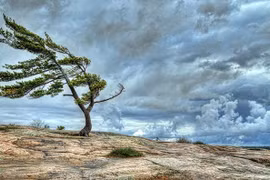 Thời gian xuất hiện gió Lào