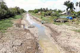 Đồng bằng sông Cửu Long đối diện với mùa hạn mặn nghiêm trọng