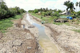 Đồng bằng sông Cửu Long đối diện với mùa hạn mặn nghiêm trọng