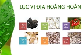 6 vị thần dược bổ âm