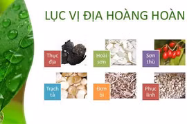 6 vị thần dược bổ âm