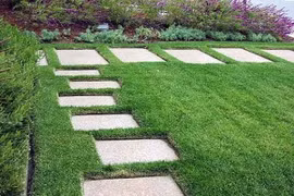 Máy cắt cỏ mini