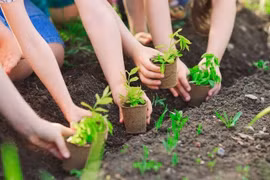 Đề án 1 tỷ cây xanh, nên ưu tiên miền Trung trước