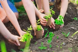 Đề án 1 tỷ cây xanh, nên ưu tiên miền Trung trước