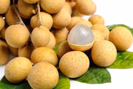  Quả nhãn bổ thần kinh