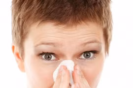 Tác nhân gây viêm mũi dị ứng