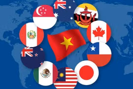 Chưa doanh nghiệp nào hưởng ưu đãi thuế từ CPTPP